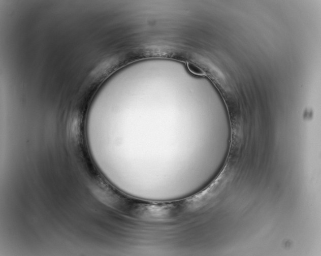 X0000102370166200808151843