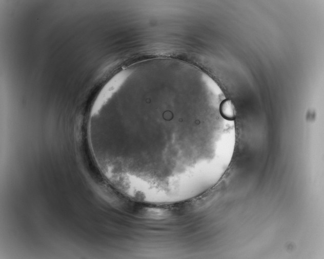 X0000102370167200808151843