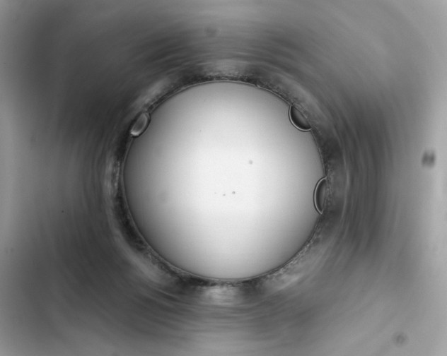 X0000102370168200808151843