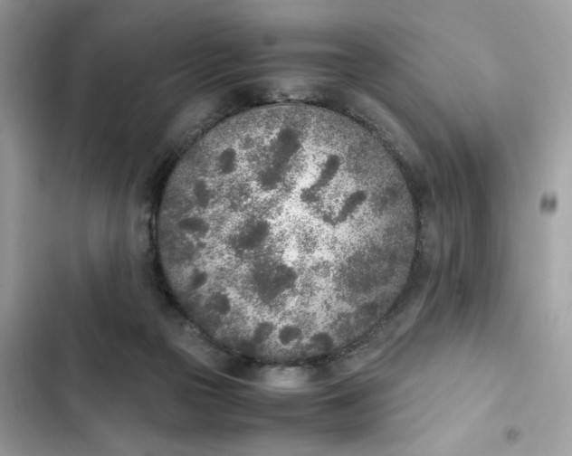 X0000102370169200808151843