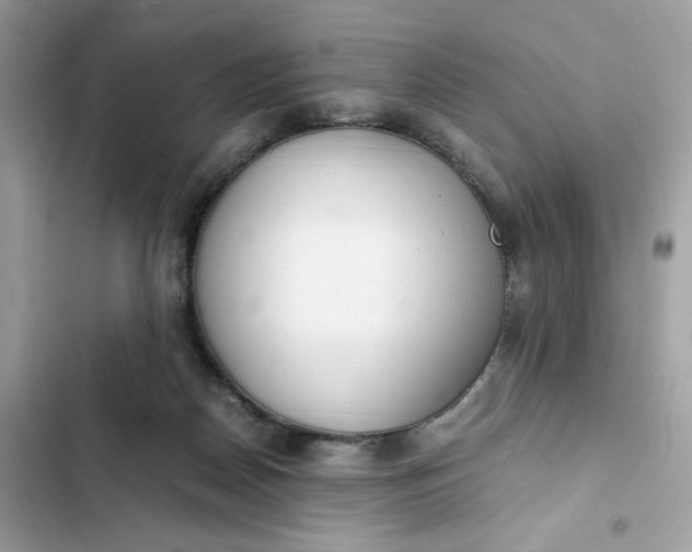 X0000102370170200808151843