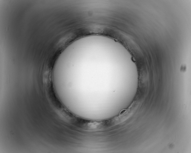 X0000102370172200808151843