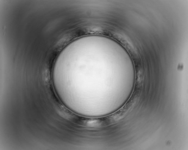 X0000102370173200808151843