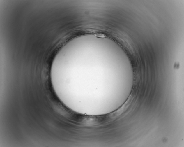 X0000102370174200808151843