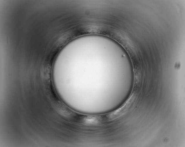 X0000102370175200808151843