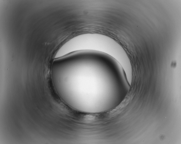 X0000102370176200808151843