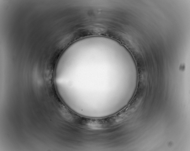 X0000102370177200808151843