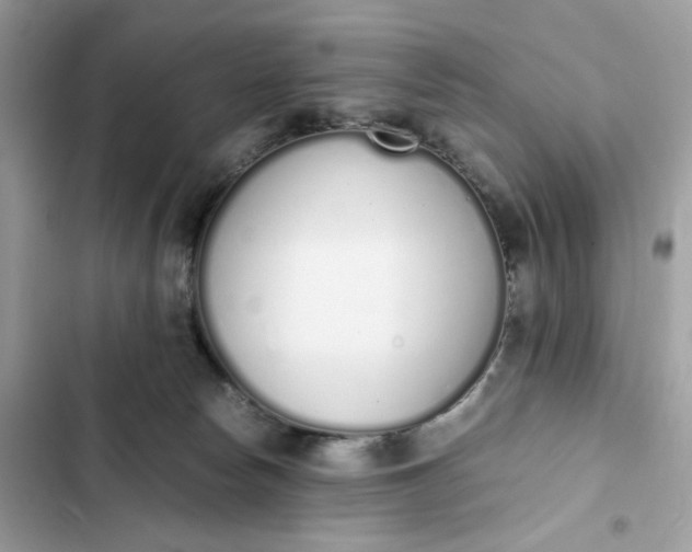 X0000102370178200808151843