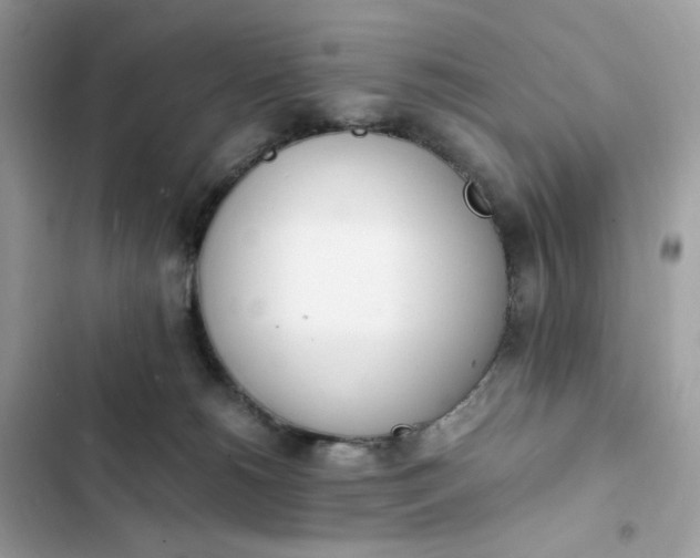 X0000102370180200808151843