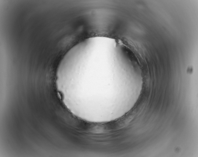 X0000102370181200808151843