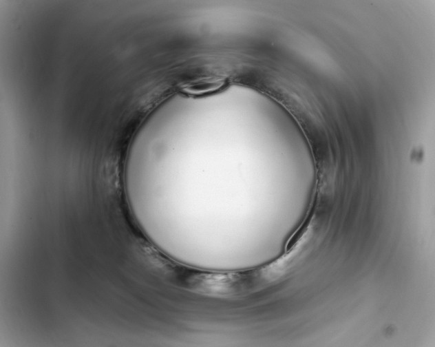 X0000102370182200808151843