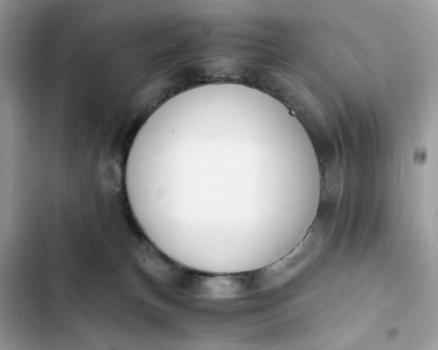 X0000102370183200808151843