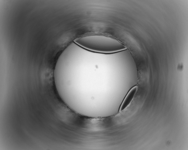 X0000102370184200808151843