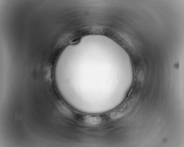 X0000102370185200808151843