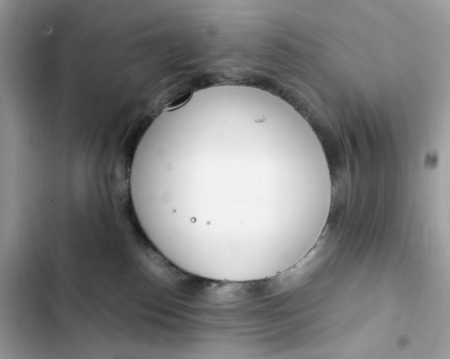 X0000102370186200808151843