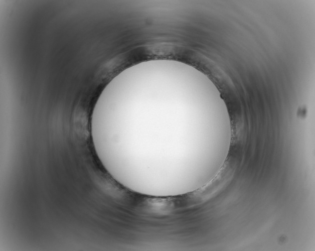 X0000102370187200808151843