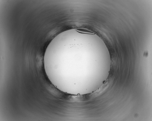 X0000102370188200808151843