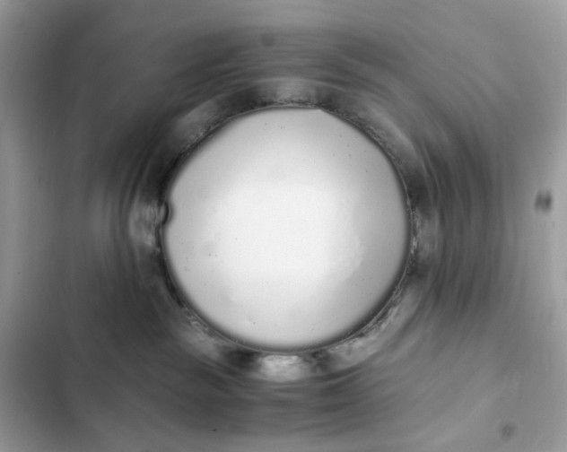 X0000102370189200808151843