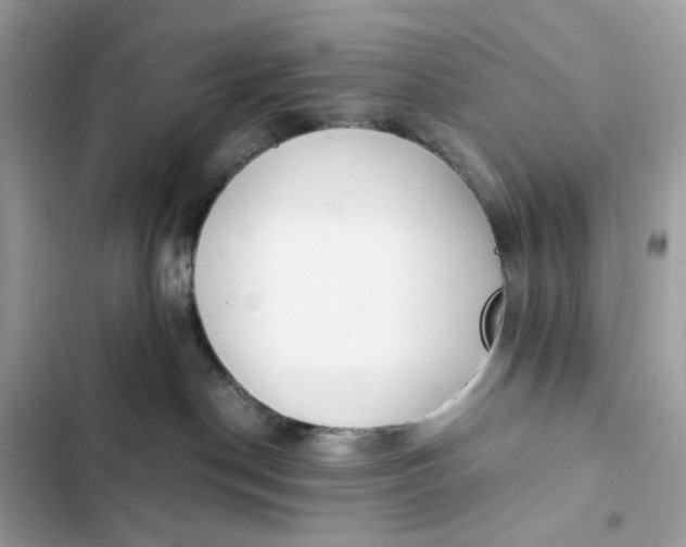 X0000102370190200808151843