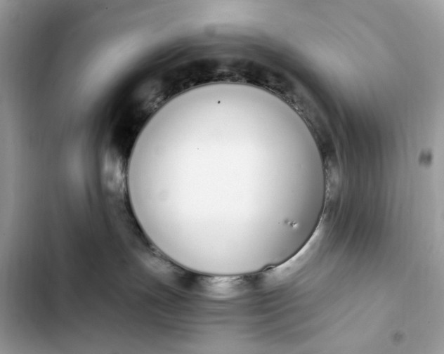 X0000102370191200808151843