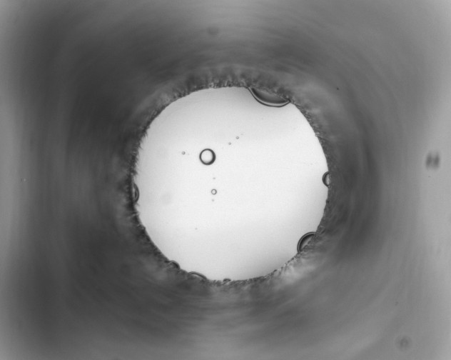 X0000102370192200808151843