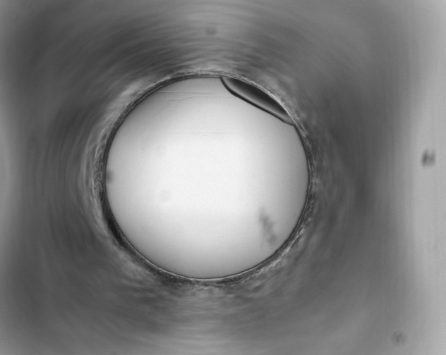 X0000102370193200808151843