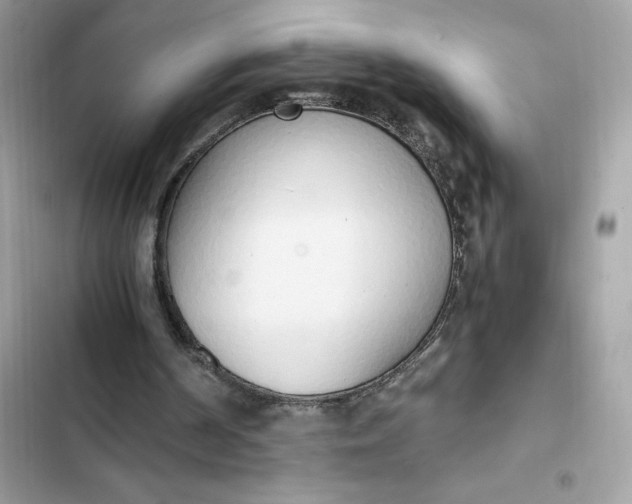 X0000102370194200808151843