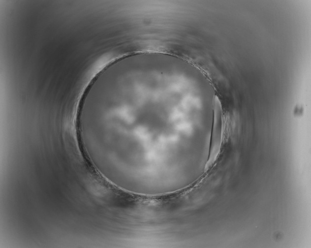 X0000102370195200808151843