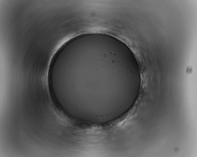 X0000102370196200808151843