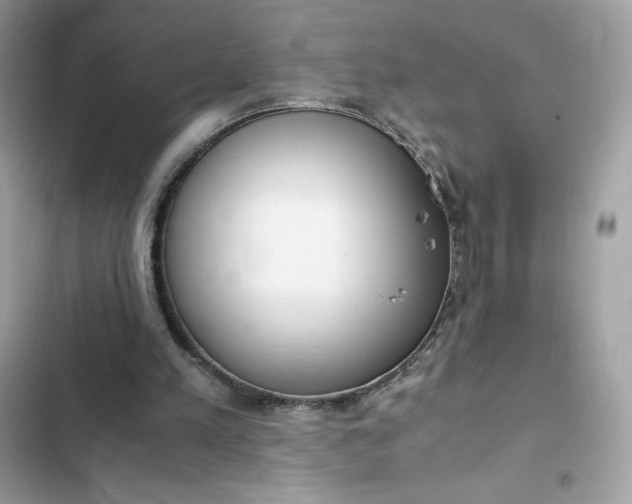 X0000102370197200808151843