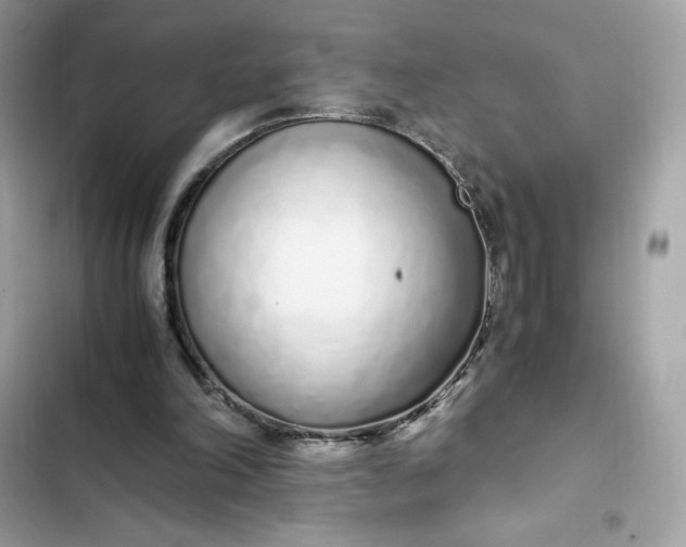 X0000102370198200808151843