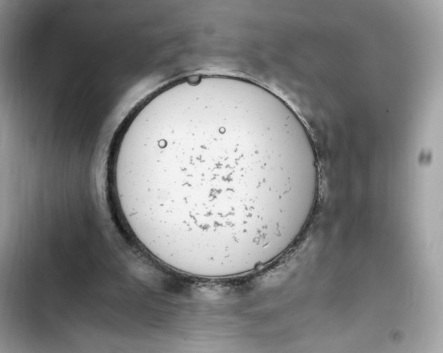 X0000102370199200808151843