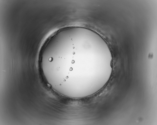 X0000102370200200808151843