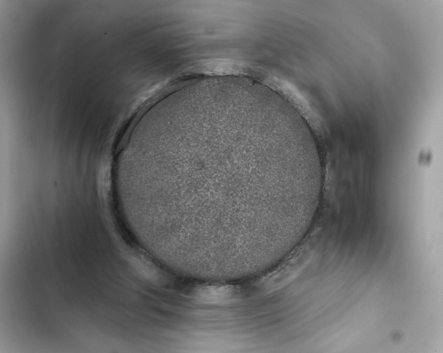 X0000102370202200808151843