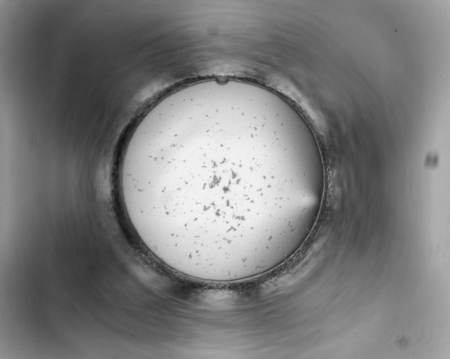 X0000102370203200808151843