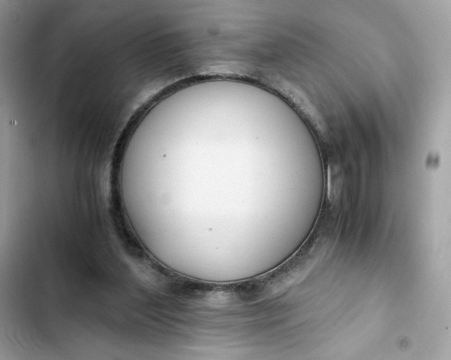 X0000102370204200808151843