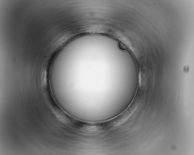 X0000102370205200808151843