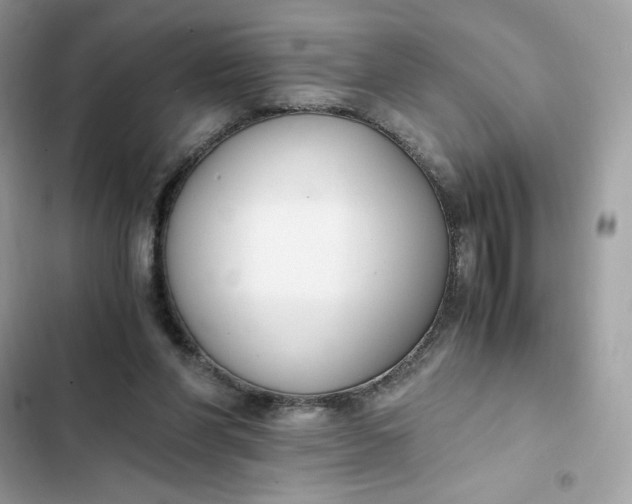 X0000102370206200808151843