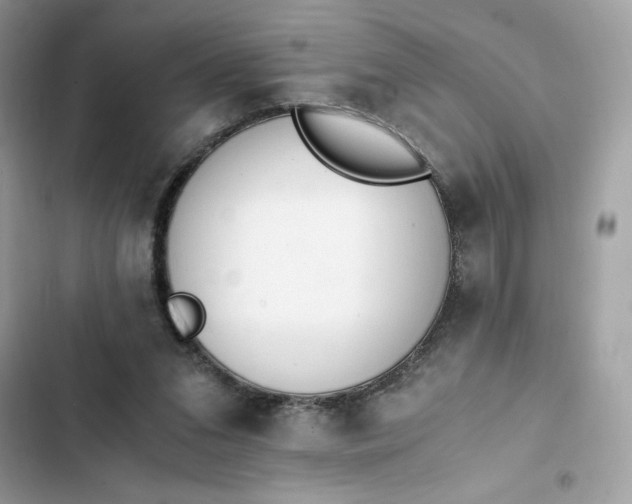 X0000102370207200808151843