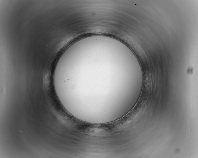 X0000102370208200808151843