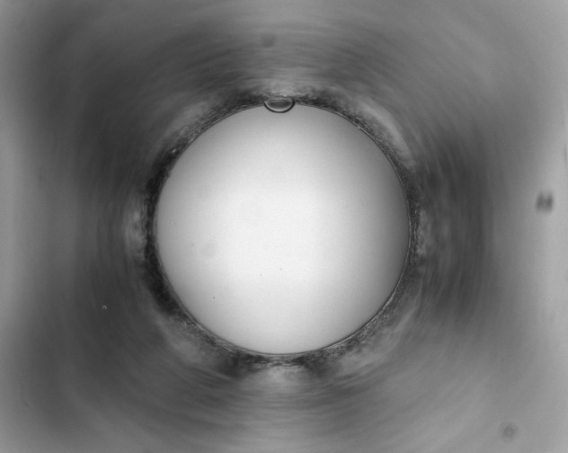 X0000102370210200808151843