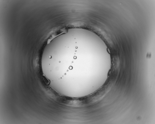 X0000102370212200808151843