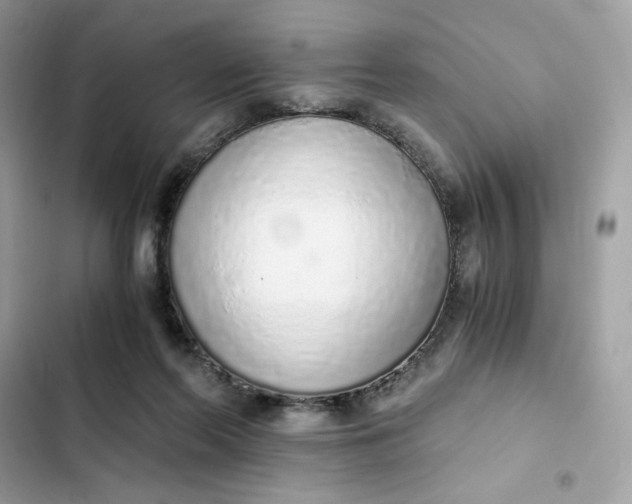 X0000102370214200808151843