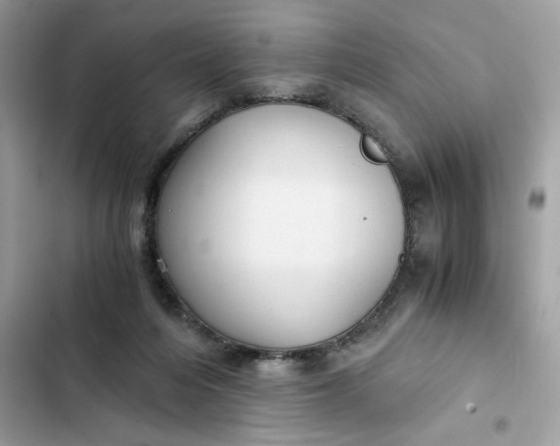 X0000102370216200808151842