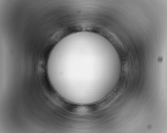 X0000102370218200808151842