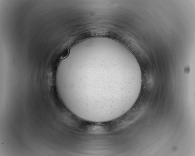 X0000102370224200808151842