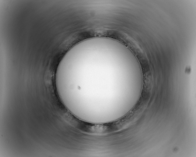 X0000102370225200808151842