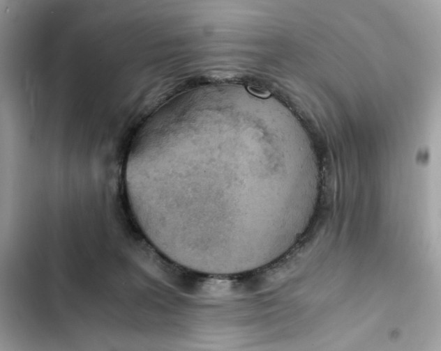 X0000102370227200808151842