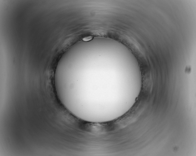 X0000102370229200808151842