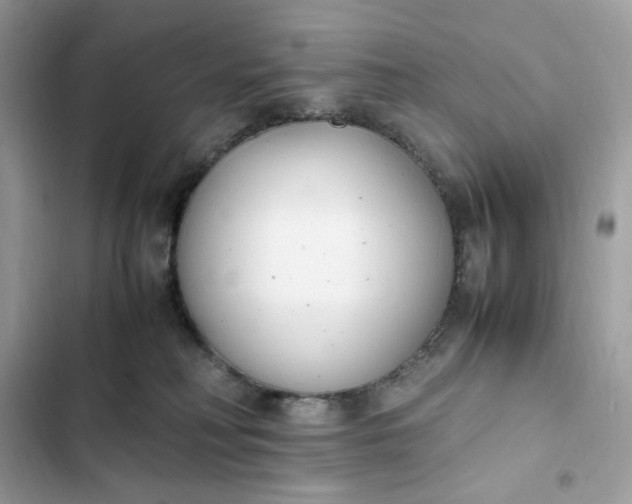 X0000102370230200808151842